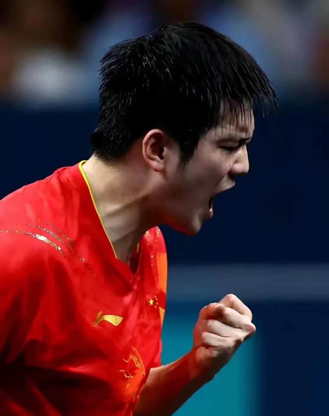 关于葡萄牙队翻盘韩国队，樊振东状态火热的信息