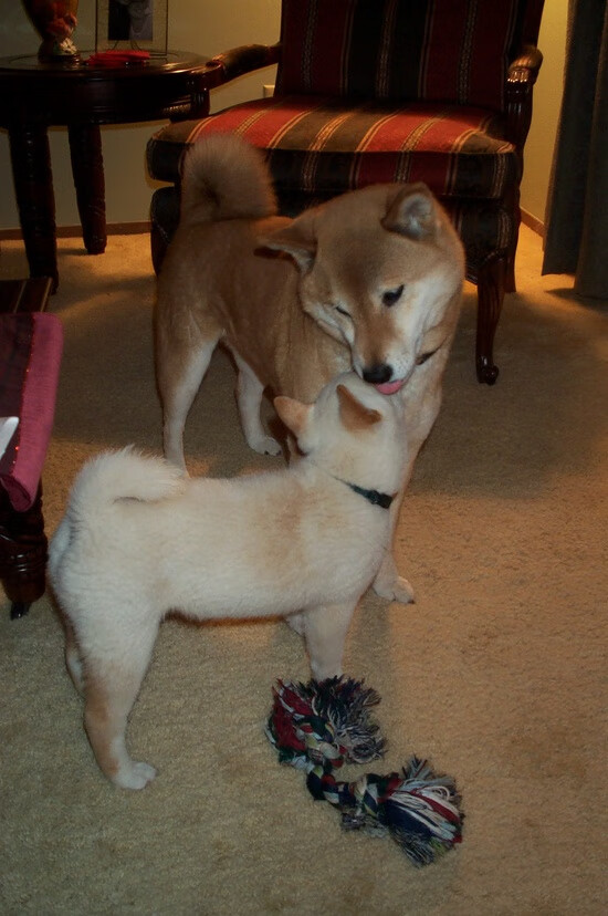 绝境逢龙，法比尼奥在沙漠风暴中接管世界排名争夺战