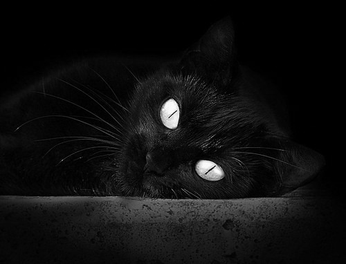 尼罗河风暴席卷爱琴海—欧冠淘汰赛上演埃及速度击溃希腊神话