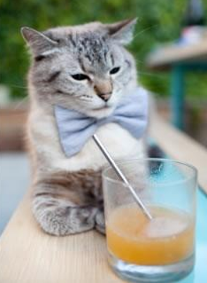 蛰伏与蜕变，当黄蜂杰伦·格林在季后赛的炽热光芒中收割太阳