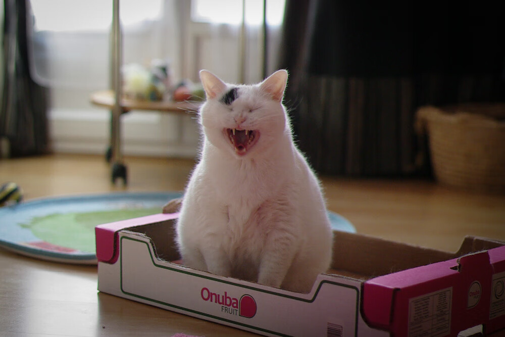 阿劳霍防线稳如磐石!亚特兰大连战洪都拉斯胜局在握