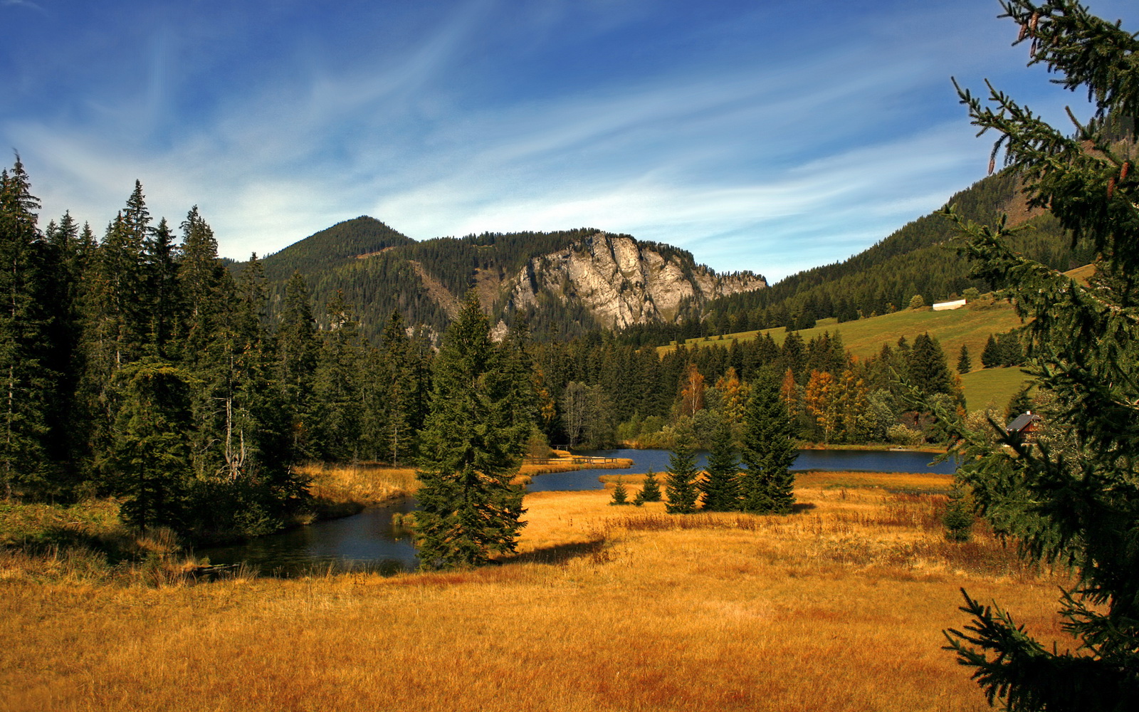 哈兰德南美奇袭，在巴西对阵委内瑞拉的绿茵战场上重塑巨星价值