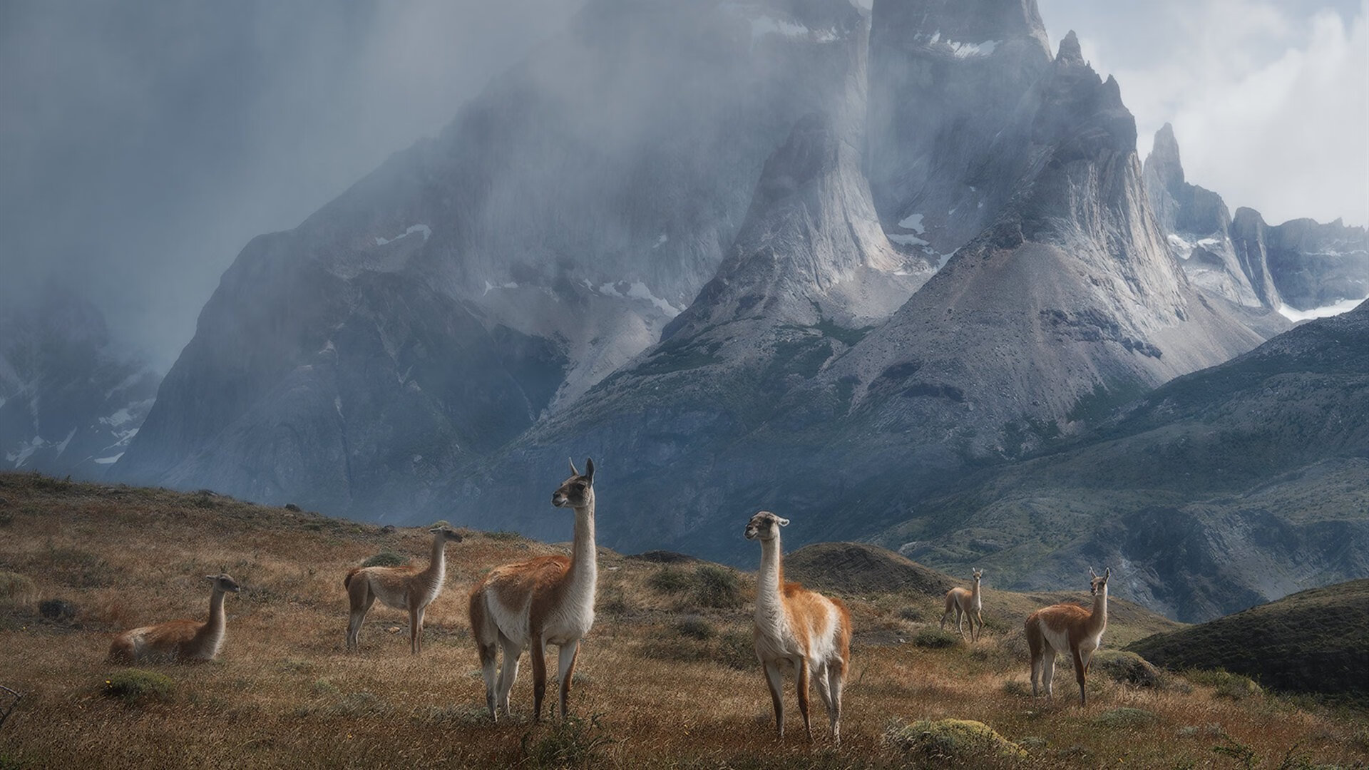 绿茵与硬木的双重奏，国际米兰粉碎卡塔尔金元神话，奥利维耶东决接管书写新传奇