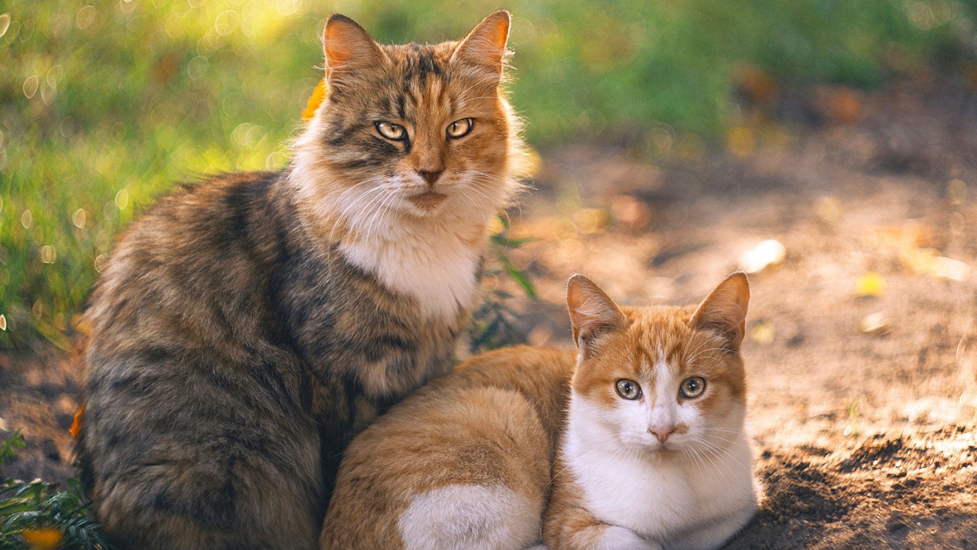德甲硝烟弥漫时，塞维利亚用欧联基因稳稳拿捏AC米兰