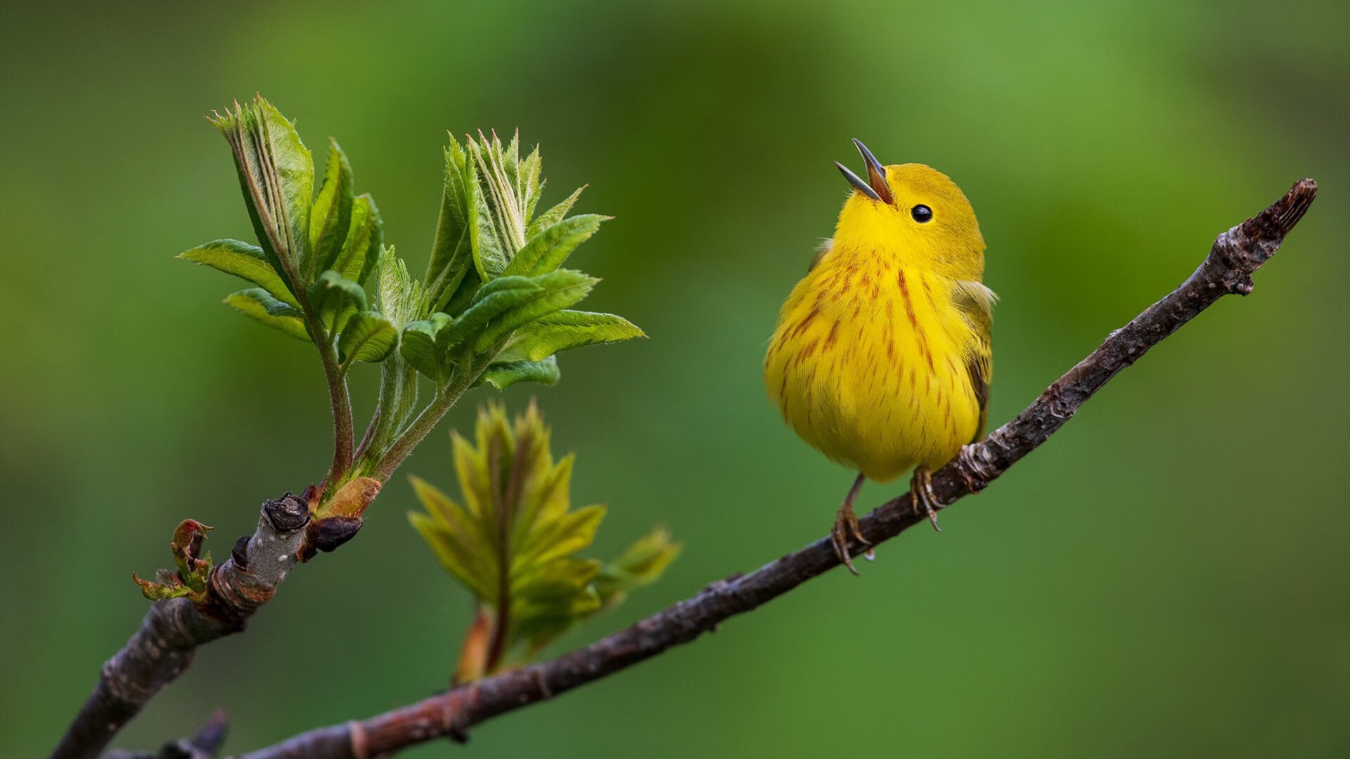 逆转之夜，场边那个不是球员的男人，如何让德甲争冠天平倾斜？