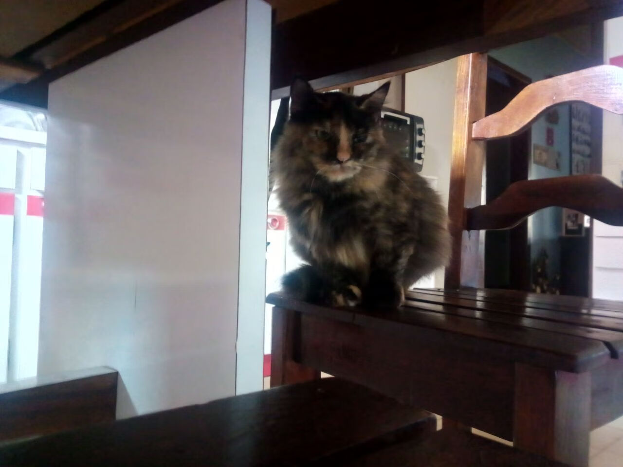 黑马啸北美，2026世界杯焦点战，奇才3-1正面击溃传统豪强公牛