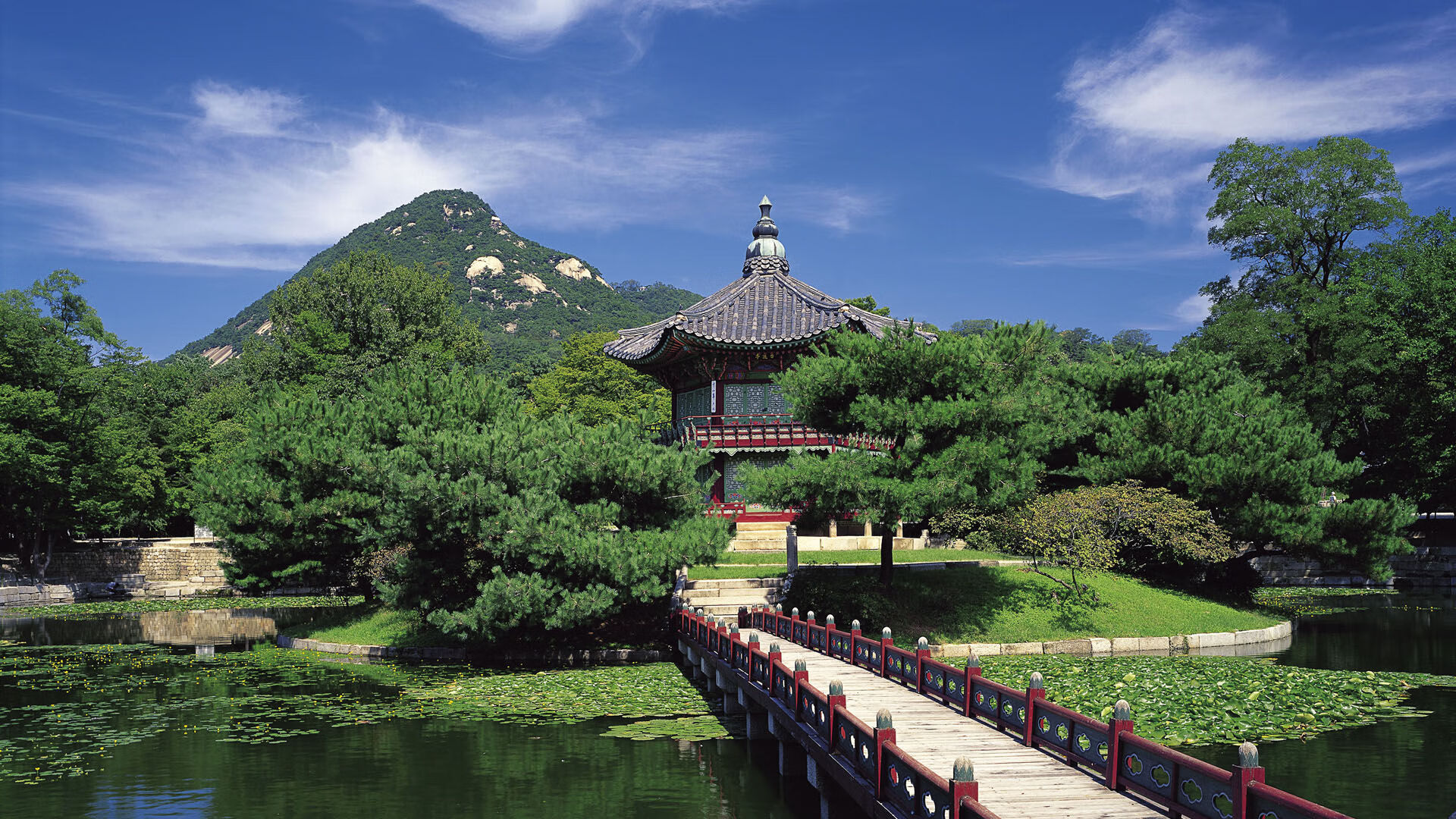 开云体育官网-阿劳霍决胜时刻！雷恩闪电战攻陷苏格兰，防线铁闸变奇兵