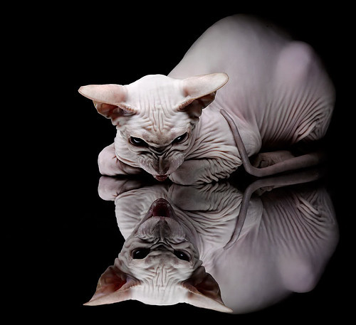 逆袭的黄昏，久保建英的闪电刺破克罗地亚黄金一代的余晖