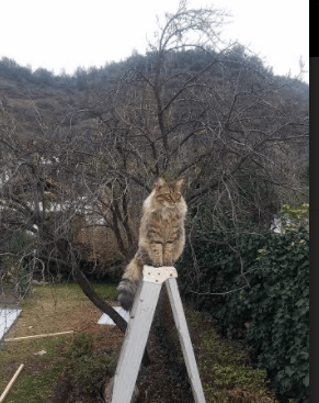 开云体育APP下载-沉默的雷霆，霍勒迪用冠军级表现给快船上的残酷一课